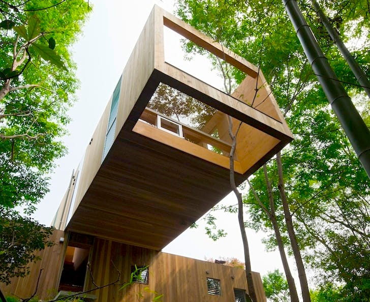Công trình kiến trúc sử dụng CLT và Glulam với kết cấu gỗ lộ trần