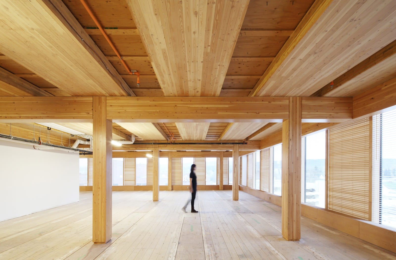 Sản xuất tấm Cross-Laminated Timber (CLT) nhiều lớp trong nhà máy