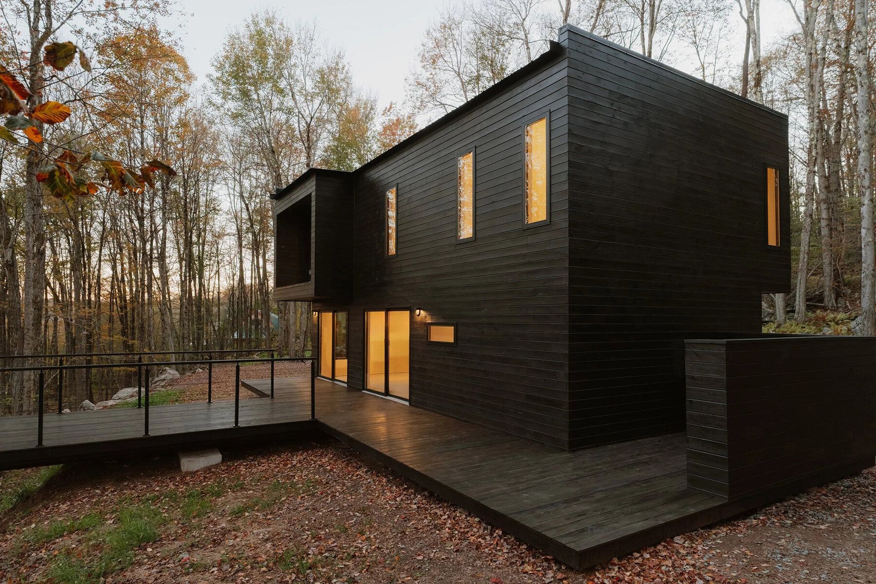 Nhà gỗ Mass Timber trong rừng thông